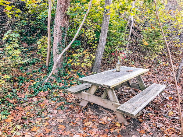 Beaver Lake picnic table in fall