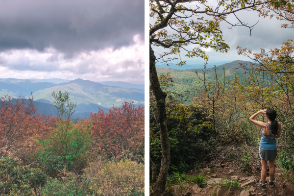 Mount Pisgah Hiking Trail Mount Pisgah Trail: Stand On Top Of The World | Uncorked Asheville