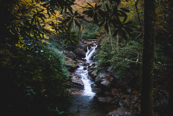 Skinny Dip Falls Trail North Carolina waterfall between trees and rocks