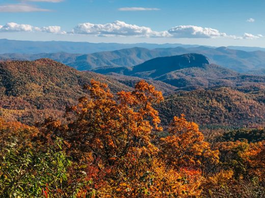 20 Best Fall Things To Do In Asheville In October | Uncorked Asheville