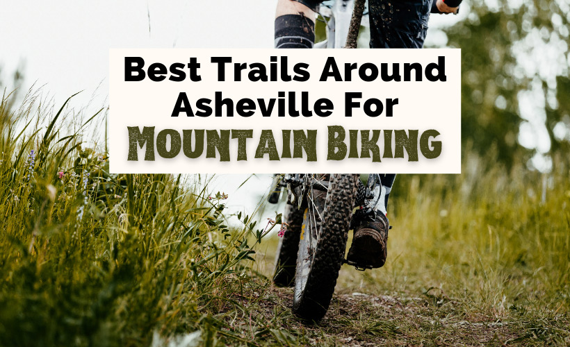 8 Scenic & Adventurous Asheville Mountain Biking Trails - Best Asheville Mountain Biking Trails NC