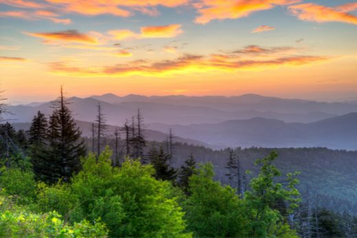 20 Best Day Trips From Asheville, NC From Locals | Uncorked Asheville