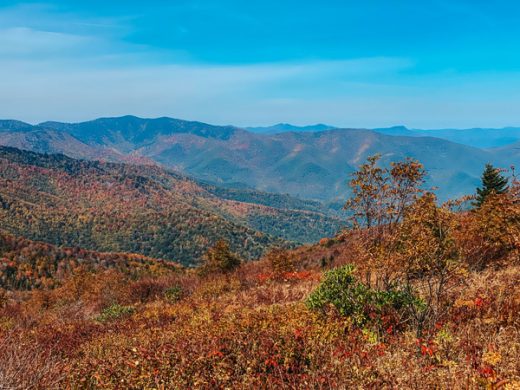 14 Gorgeous Fall Hikes Near Asheville For Top Foliage | Uncorked Asheville