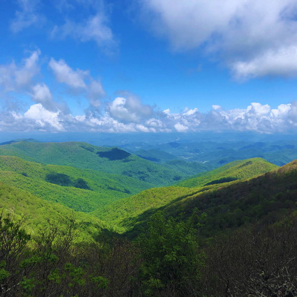 Craggy Gardens mountains view