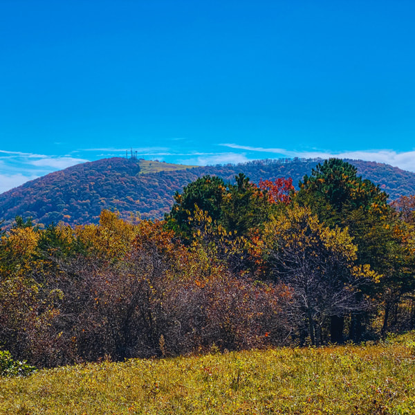 Blue Ridge Pastures view