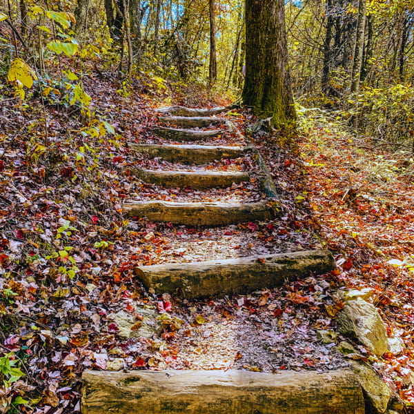 Stairs on Trombatore Trail to Blue Ridge Pastures