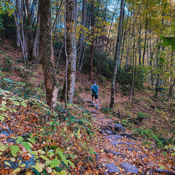 Tom hiking Trombatore Trail to Blue Ridge Pastures