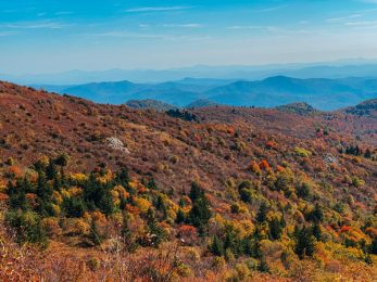 Asheville Fall Color Forecast & Best Festivals | Uncorked Asheville