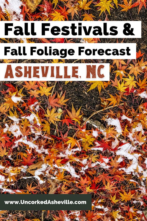 Asheville Fall Color Forecast & Best Festivals | Uncorked Asheville
