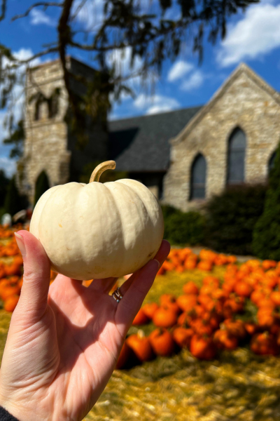 Grace Episcopal Church pumpkin