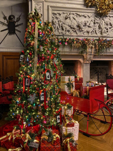 Make The Most Out Of Christmas At Biltmore: A Passholder's Guide 