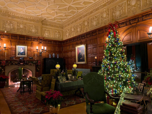 Make The Most Out Of Christmas At Biltmore: A Passholder's Guide ...