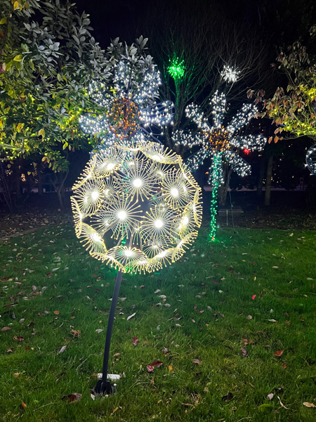 Flower and dandelion light display