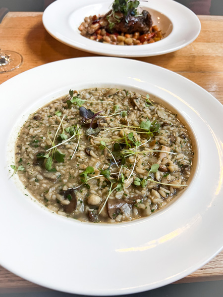 Risotto at Stable Cafe Biltmore Christmas