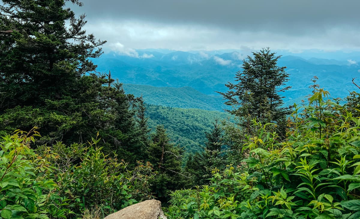 Waterrock Knob in Maggie Valley