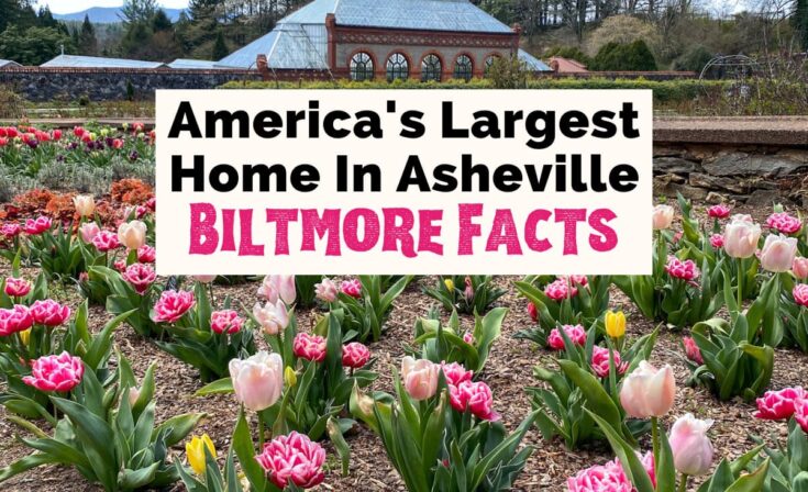 Riveting Facts About Biltmore Estate Uncorked Asheville