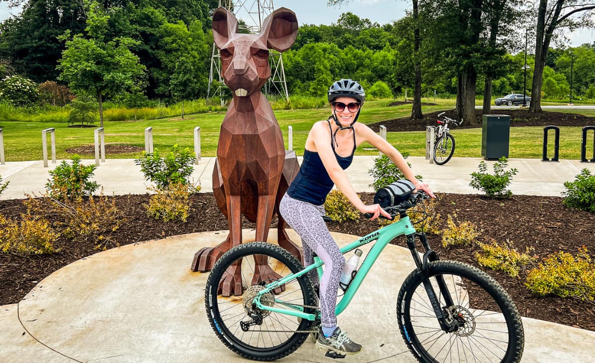 Swamp Rabbit rated among top US 'urban bike paths