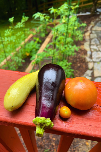 Squash, eggplant, tomatoes