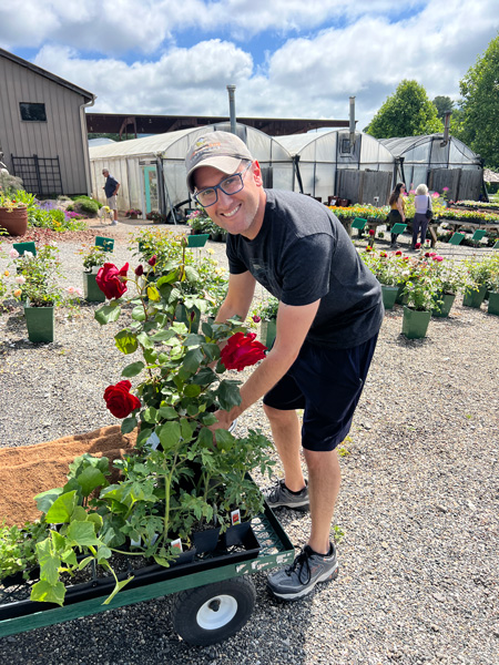 Tom with roses at Reems Creek Nursery