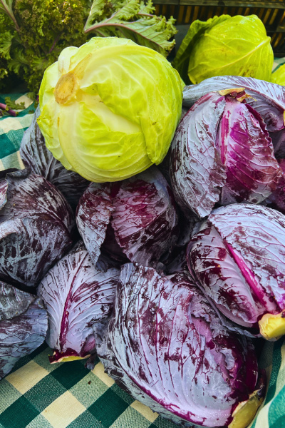 Cabbage at North Asheville Tailgate Market