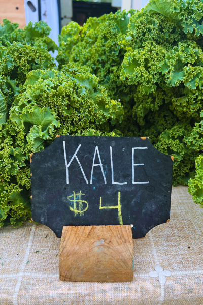 Kale at North Asheville Tailgate Market