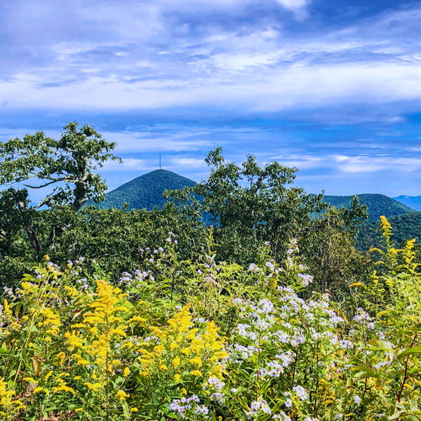 Mount Pisgah from Fryingpan Mountain Lookout Tower Trail