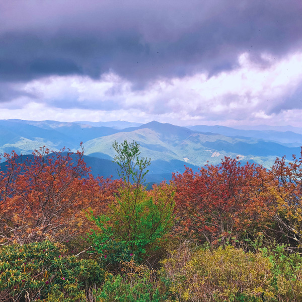 Mount Pisgah Summit view