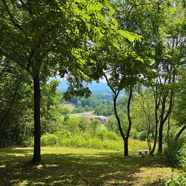 Bailey Mountain Preserve view of farm