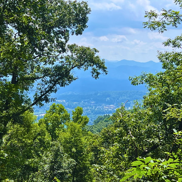 View along Bailey Mountain Preserve hike