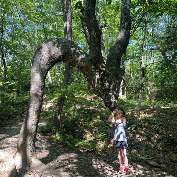 Skinny Dip Falls Dragon Tree with Christine