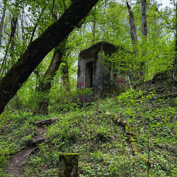 Abandoned building along Laurel River Trail