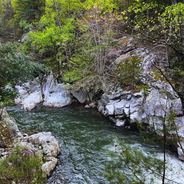 Water along Laurel River Trail