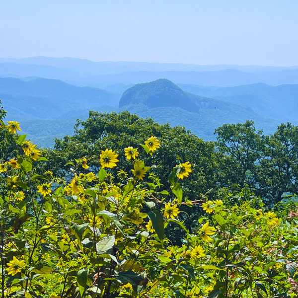 Looking Glass Rock Overlook