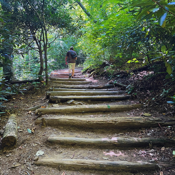 Skinny Dip Falls trail stairs