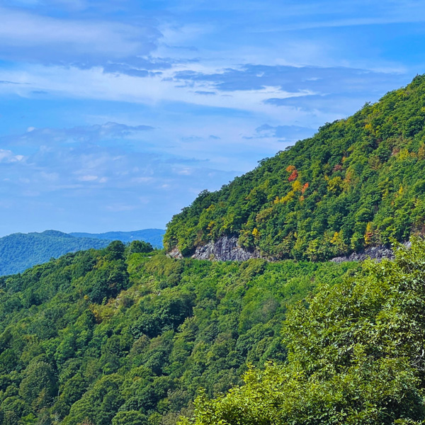 View of Blue Ridge Parkway from Pisgah Inn