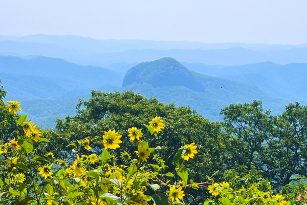 Looking Glass Rock Overlook 