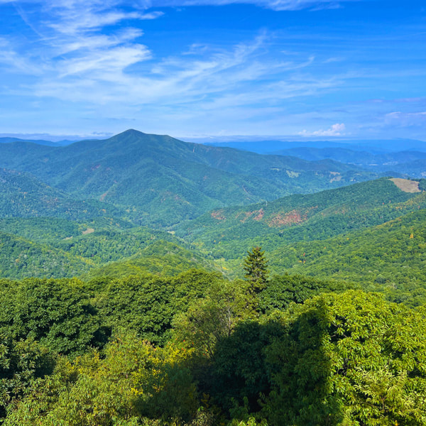 Views from Fryingpan Mountain Tower